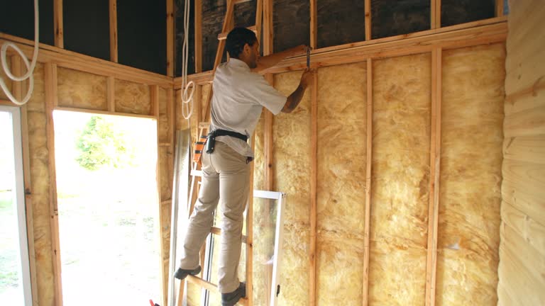 Best Commercial Insulation Services  in George Mason, VA